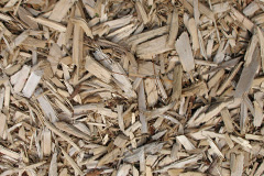 biomass boilers Llanmadoc
